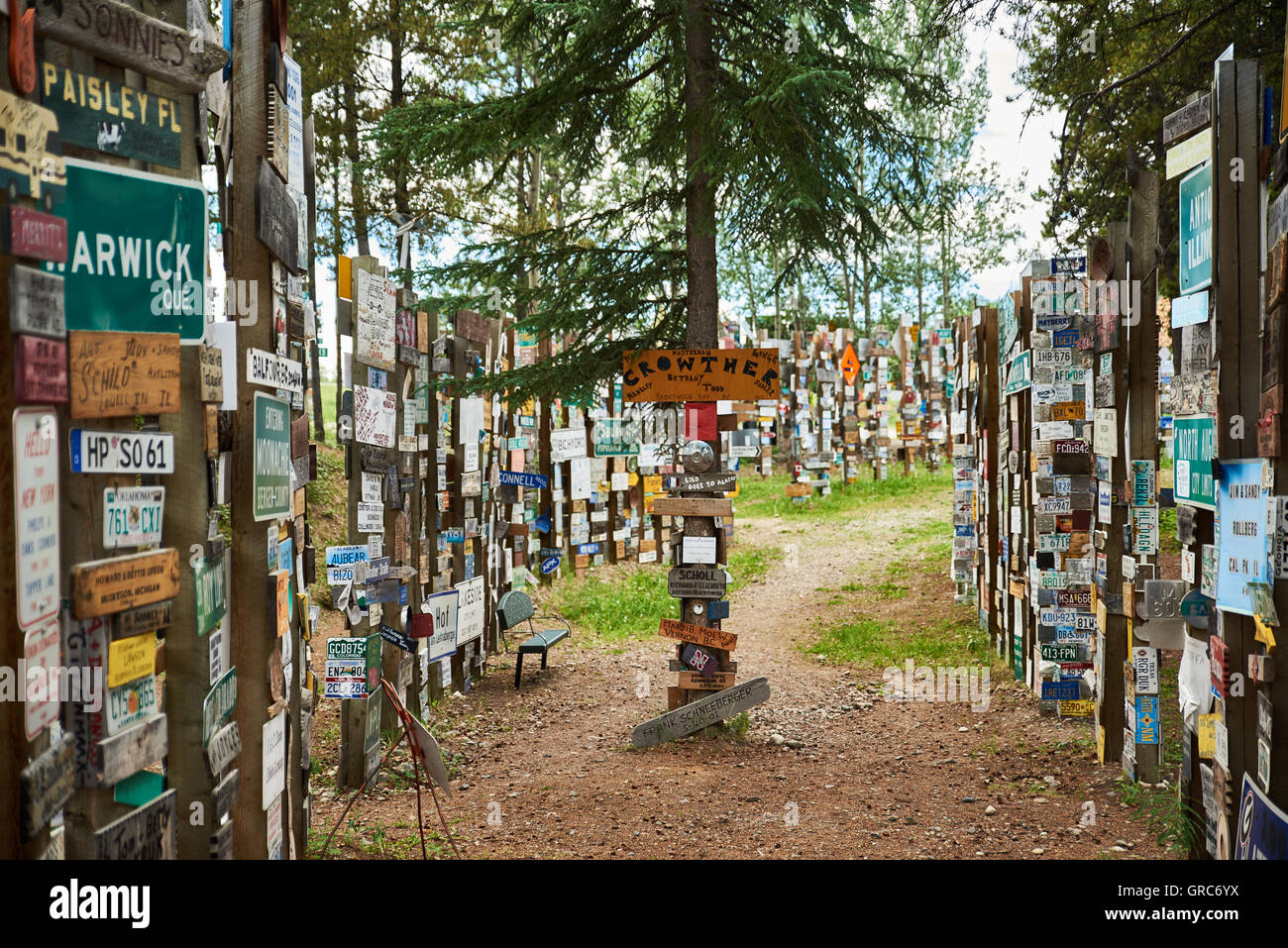 Sign Post Forest Stock Photo Alamy