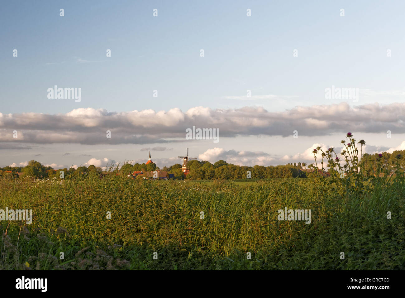 Evening Atmosphere In Early Summer Stock Photo