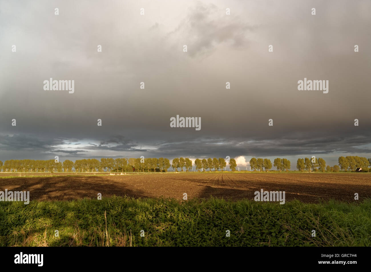 Rain Clouds In Spring Stock Photo - Alamy