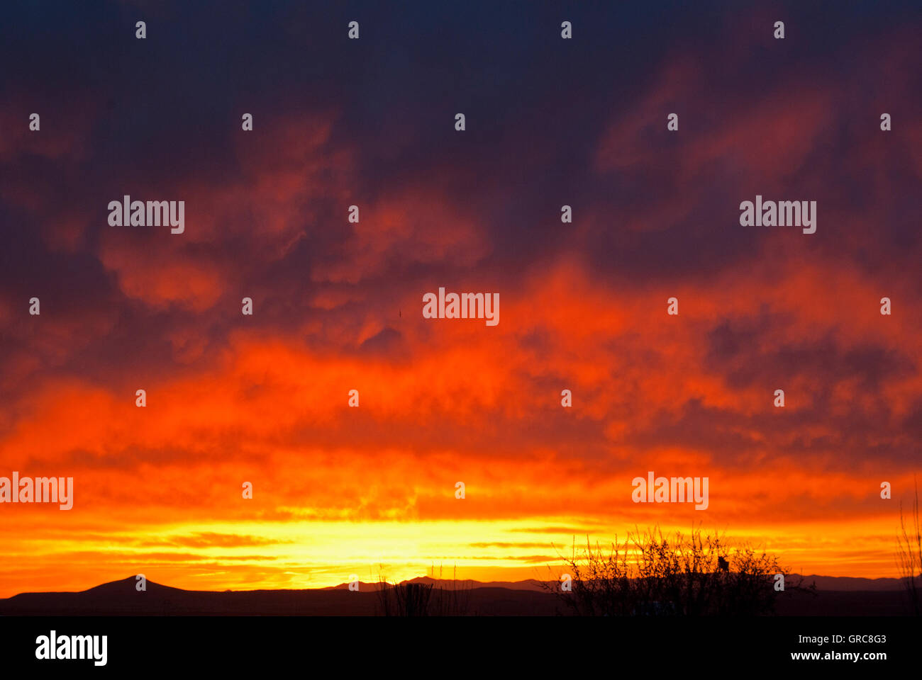 Bright red sunset over desert Stock Photo