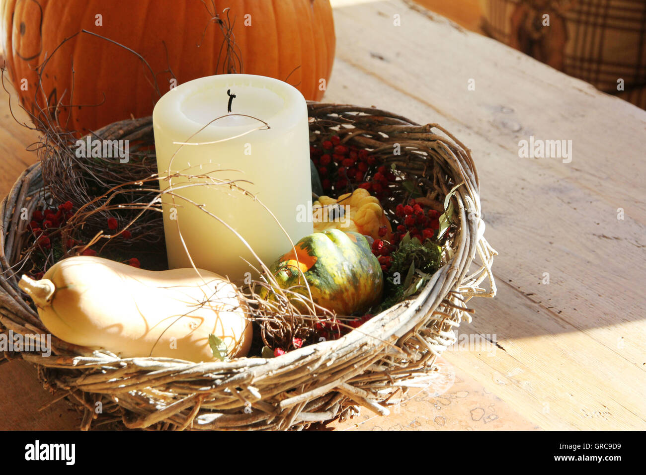 Autumn Decoration Stock Photo