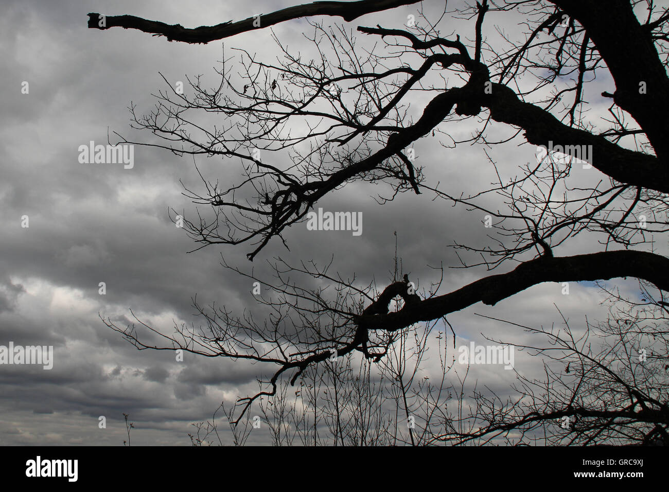 Dark mysticism hi-res stock photography and images - Alamy