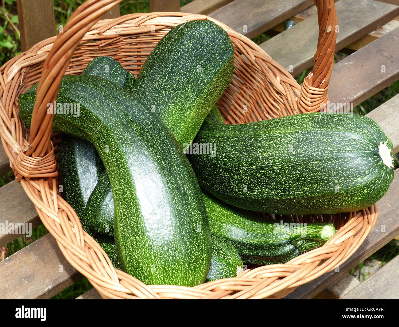 Zucchini In Vegetable Basket Stock Photo Alamy