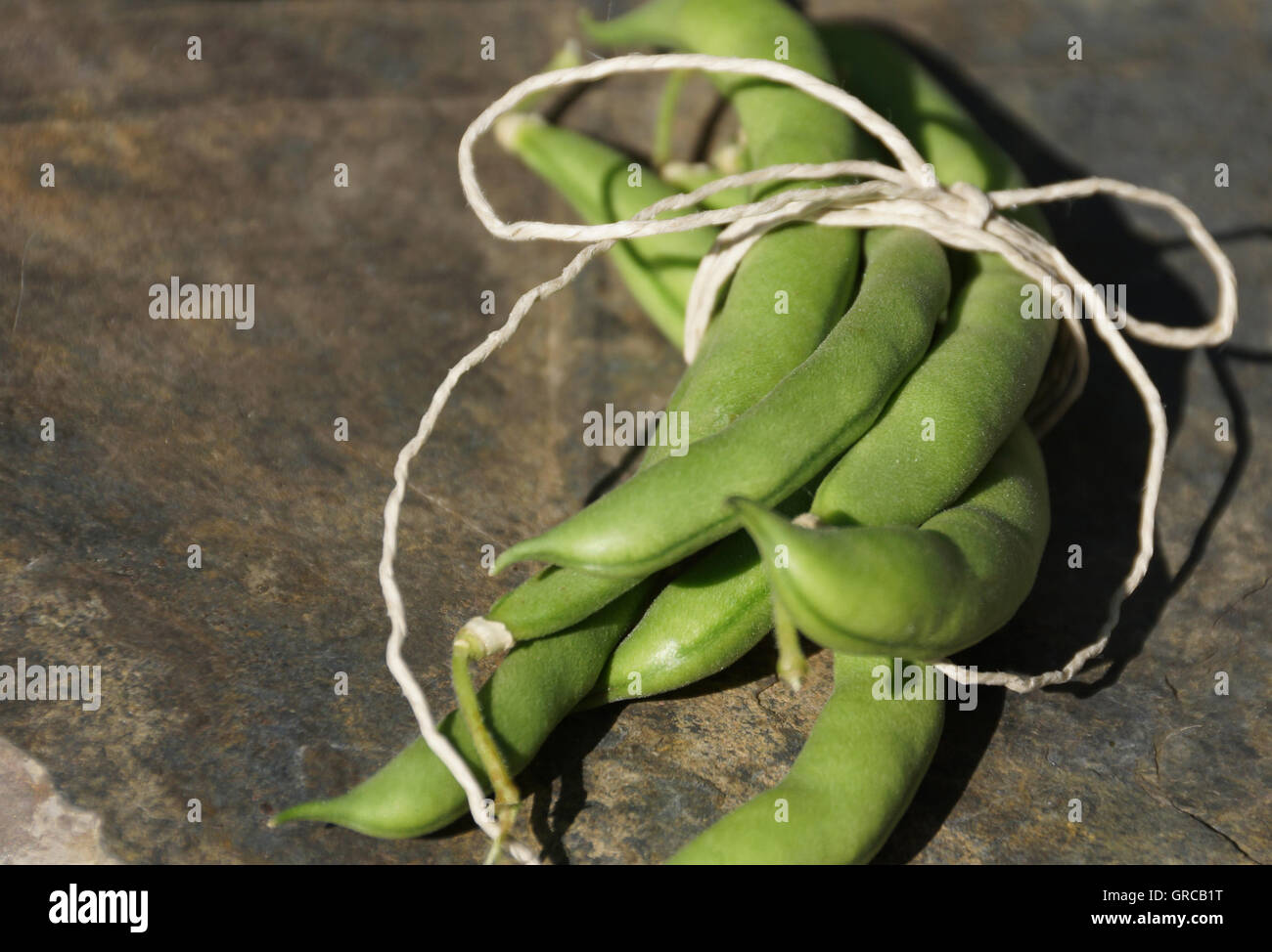 Green Garden Beans Stock Photo Alamy