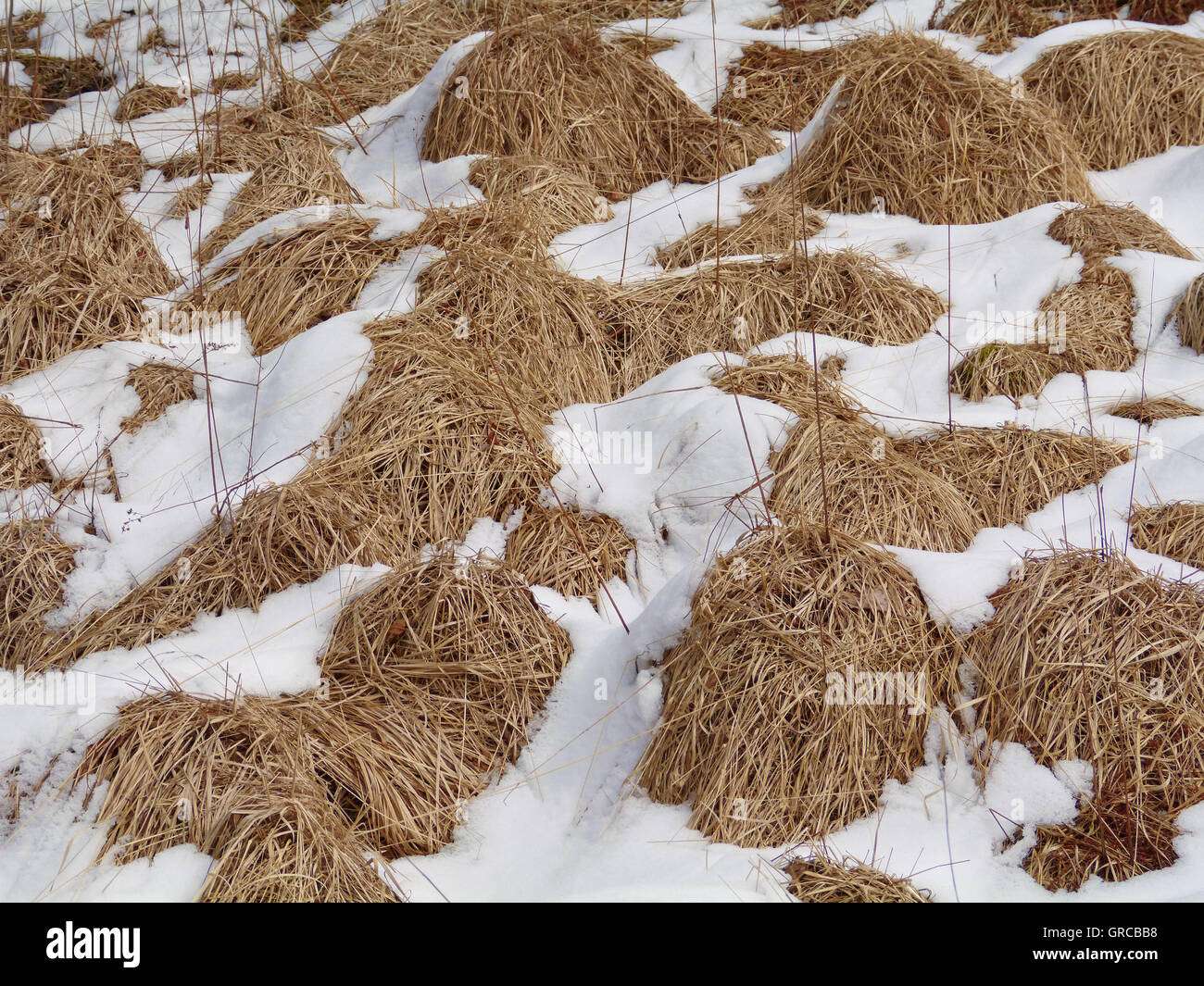 Soil clods hi-res stock photography and images - Alamy