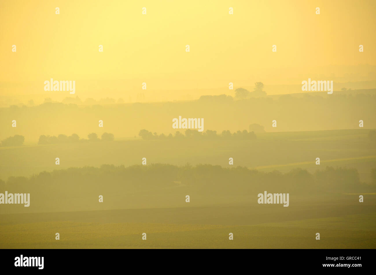 Landscape In Yellow Tones In The Wine Growing Region Of Rheinhessen In The Early Morning Stock Photo
