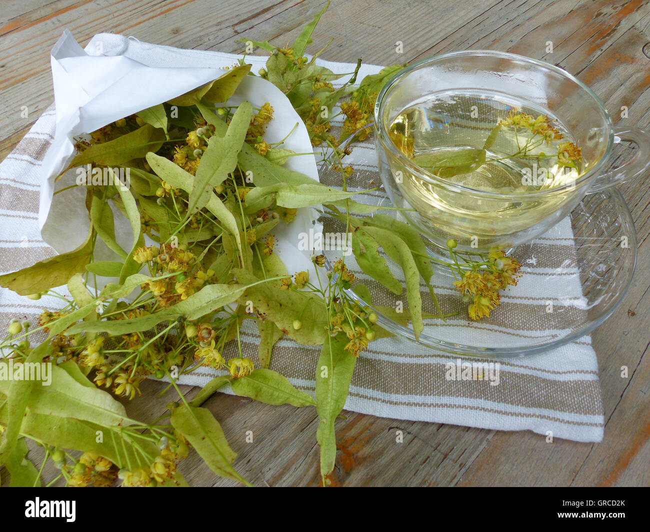 Lime Blossom Tea Stock Photo Alamy