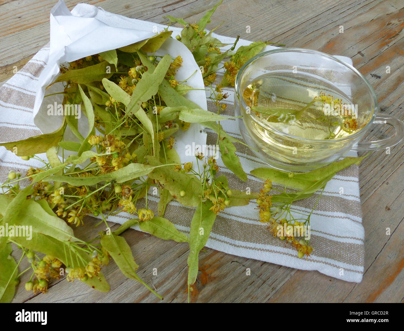 Lime Blossom Tea Stock Photo Alamy