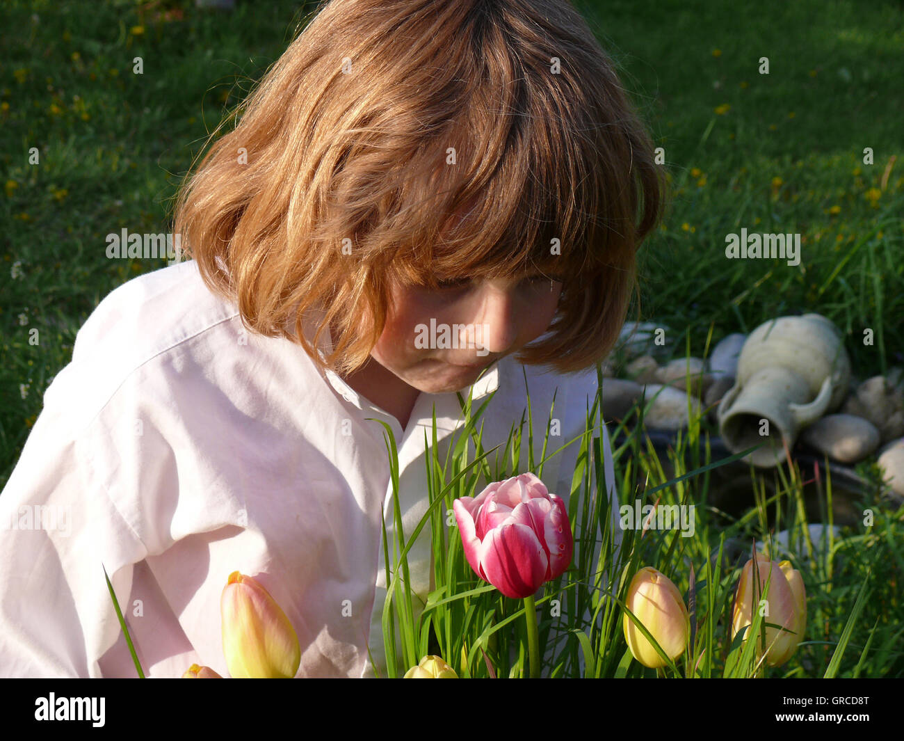 Little Girl Smelling Tulips Stock Photo - Alamy