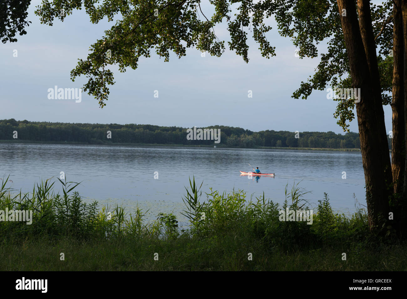 Paddler In A Red Boat On The Jungfernsee Stock Photo