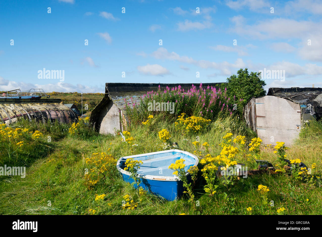 Famous upturned fishing boats on the beach at Lindisfarne, Holy Island Northumberland England UK Stock Photo