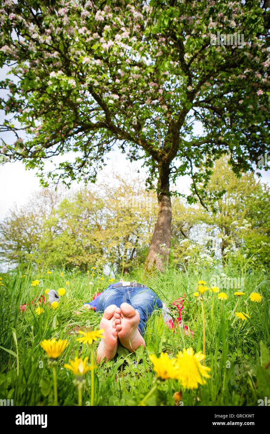 Enjoy The Spring Stock Photo