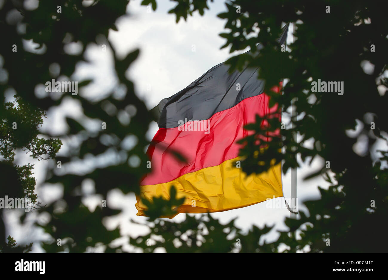Germany Flag Behind Branches Stock Photo