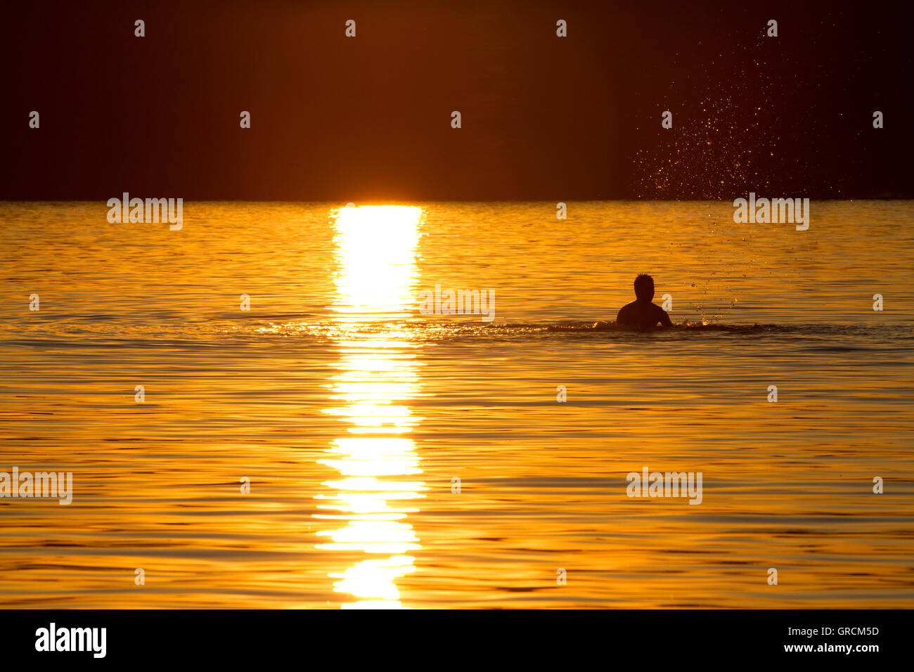 Bathing Fun In The Sunset Stock Photo
