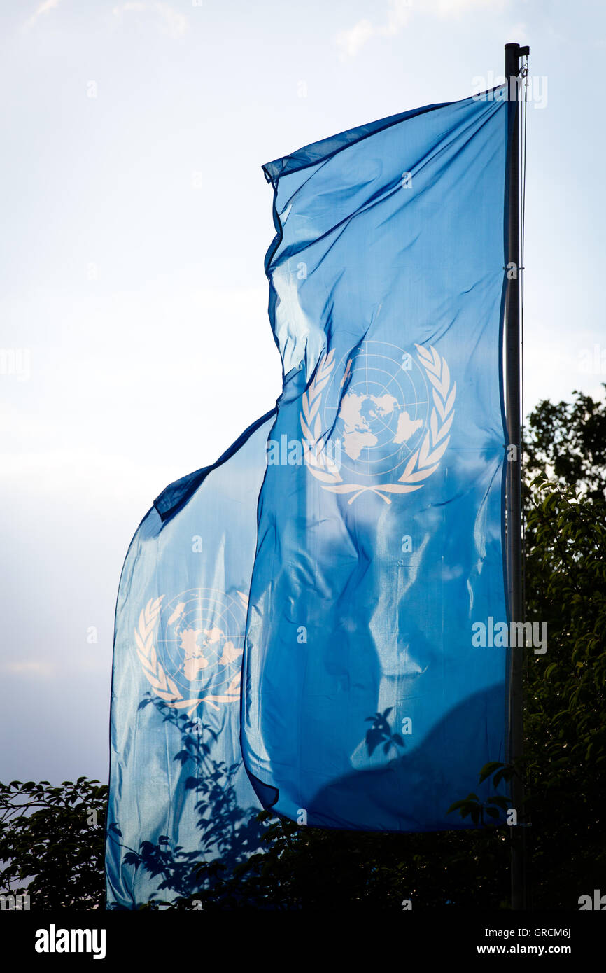 Flags Of The United Nations, Un Stock Photo