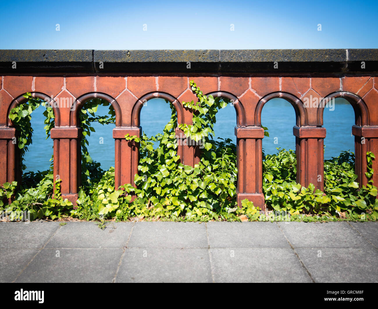Ancient Balustrade With Ivy Stock Photo