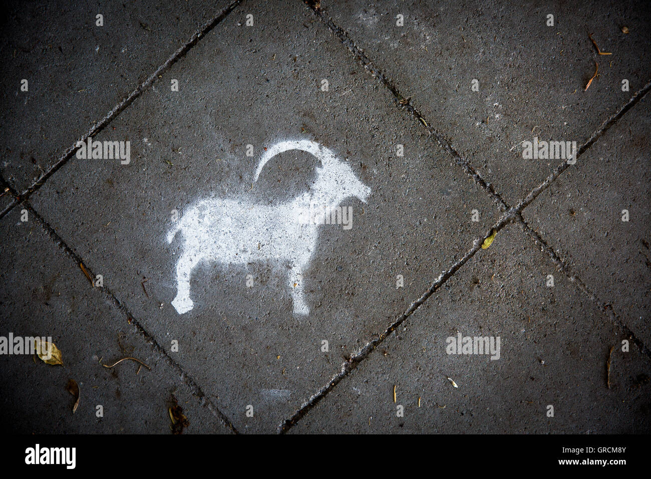 Capricorn, Goat Graffiti On Sidewalk Stock Photo