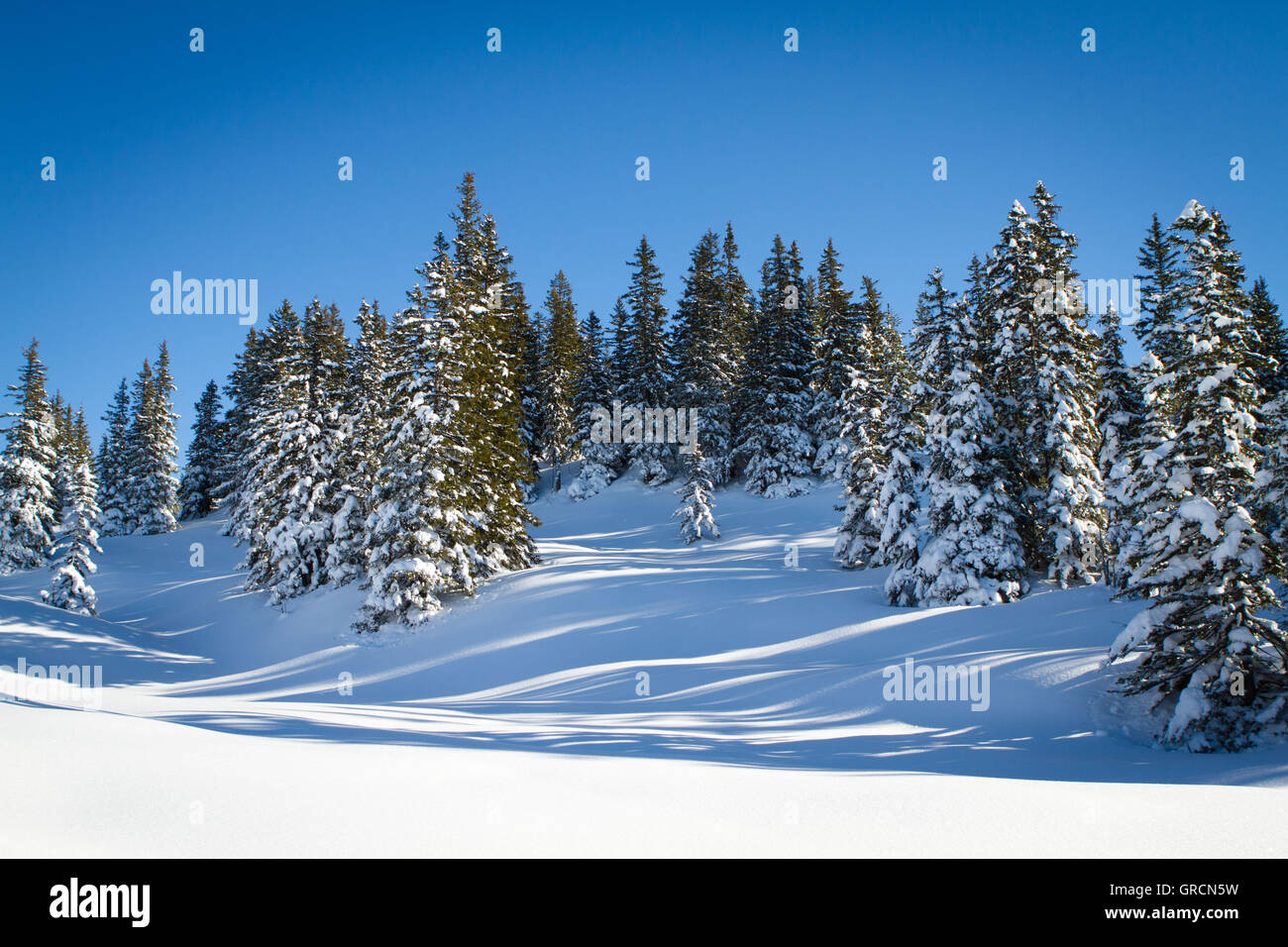 Pristine Snowscape Stock Photo
