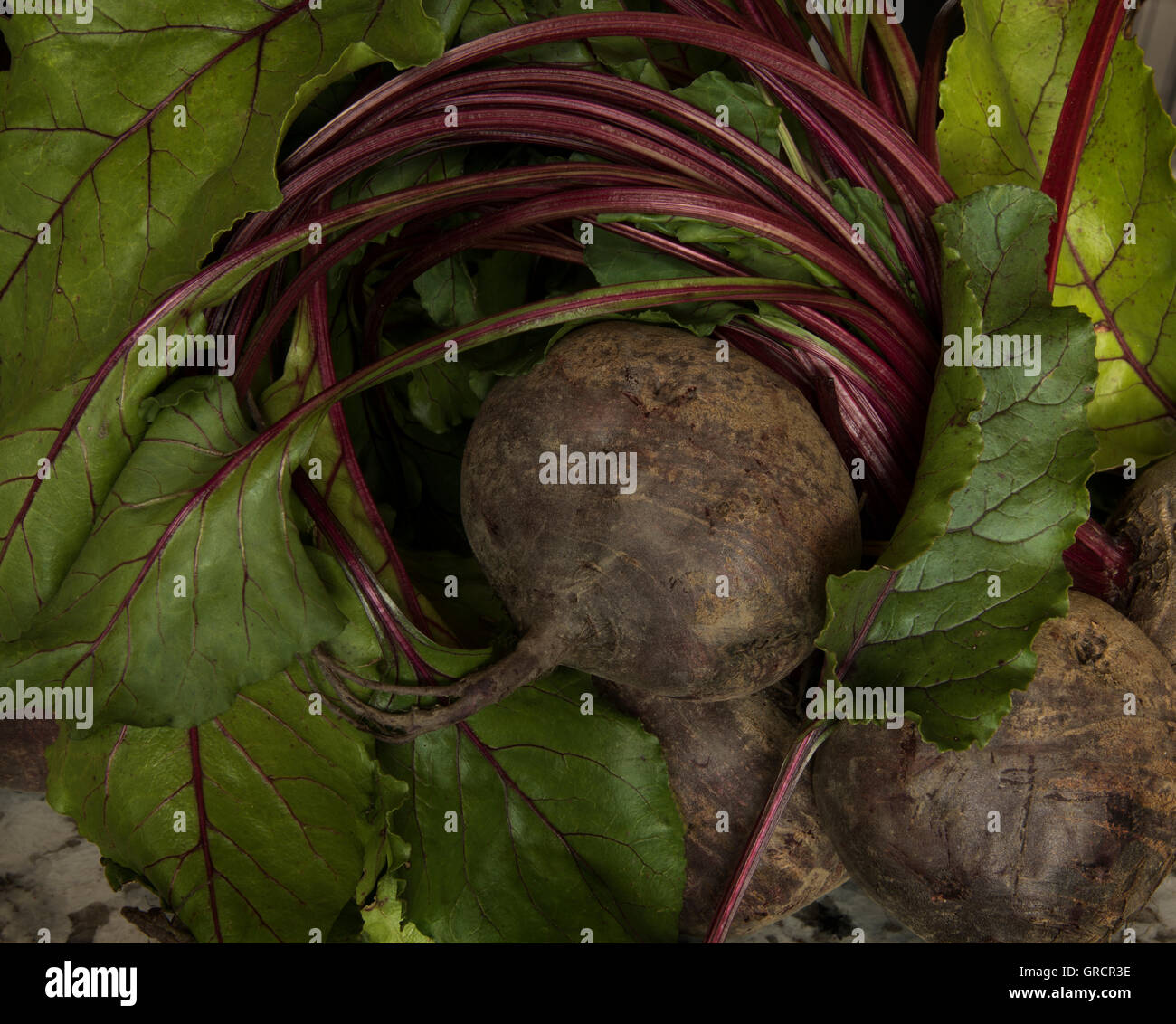 organic beets wrapped in their stems and leaves. Stock Photo