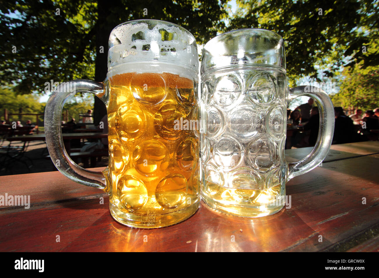 Full And Empty Beer Glasses In The Afternoon Sun At Munich Beergarden Hirschgarten Stock Photo