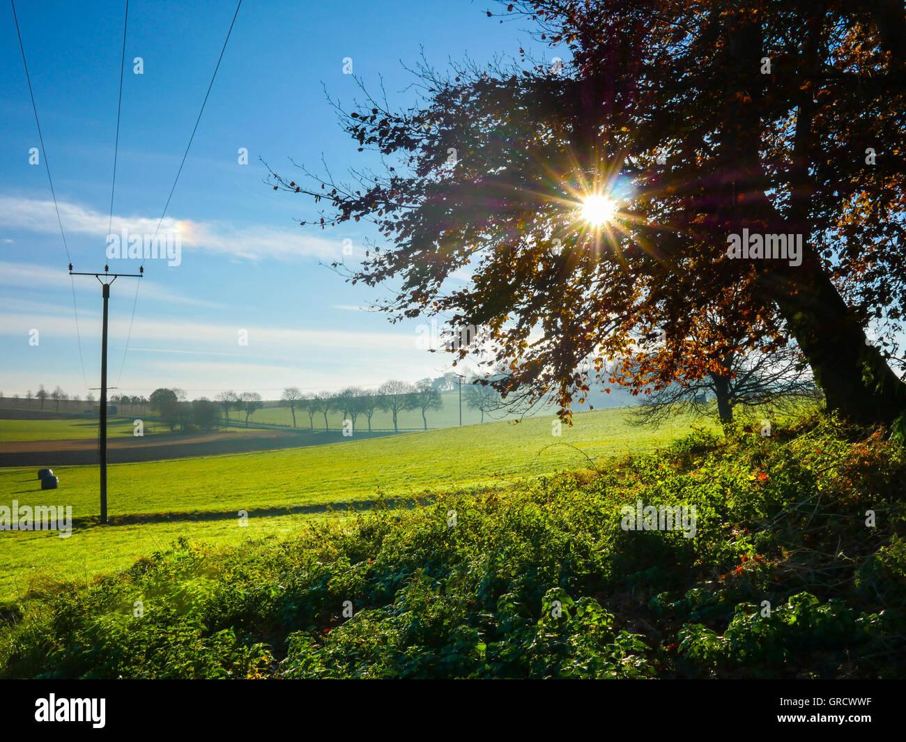 Autumn Landscape And Tree In The Sunshine Stock Photo