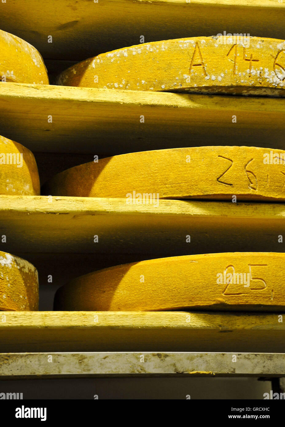 Cheese Made In Germany Stock Photo