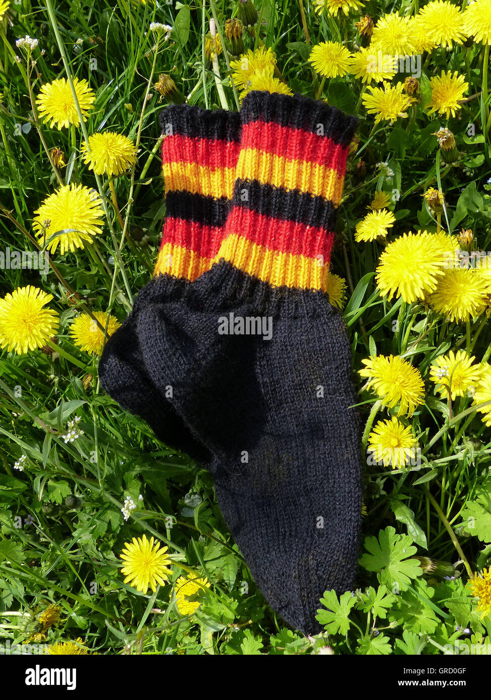 Woollen Socks Handmade, In The Colours Of Germany Stock Photo
