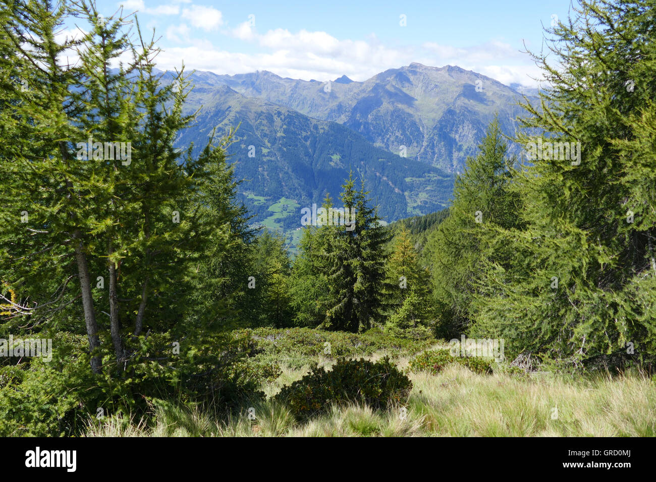 Enchanting Mountains Of South Tyrol, Italy, Europe Stock Photo