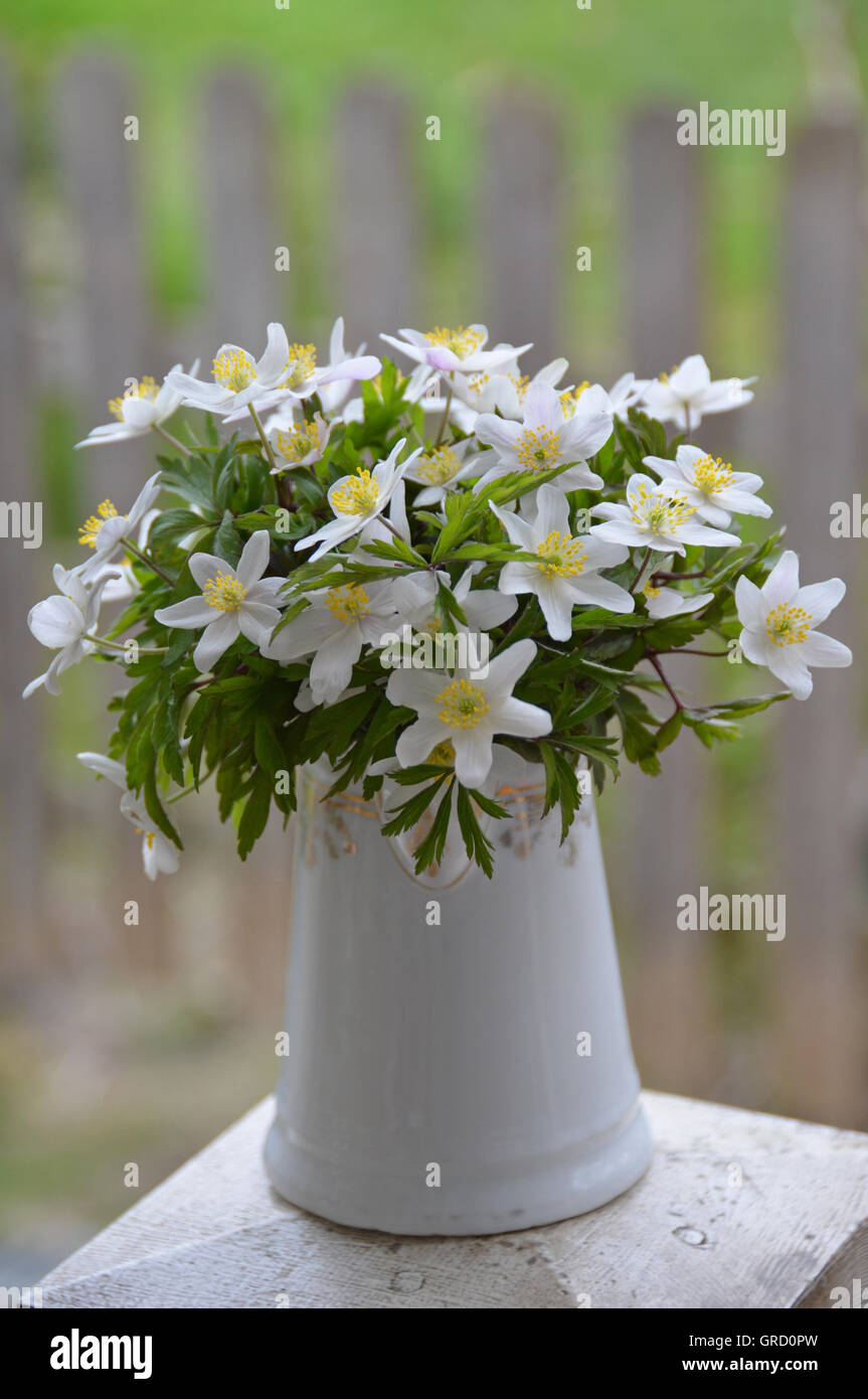 Bunch Of White Anemones In A Vase Stock Photo Alamy