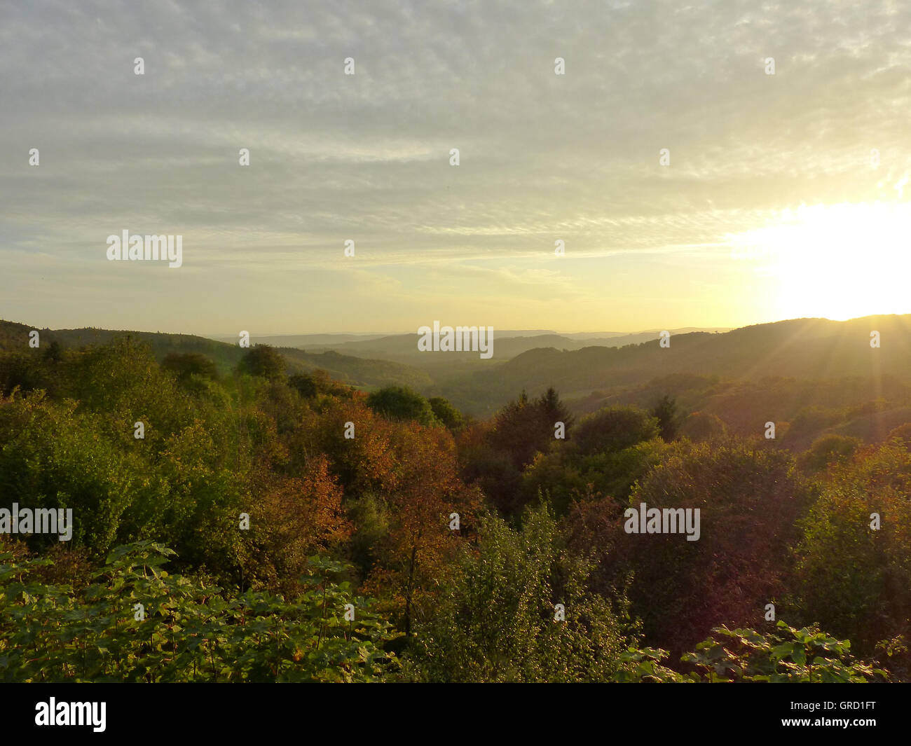 Palatine forest germany rhineland palatinate hi-res stock photography ...