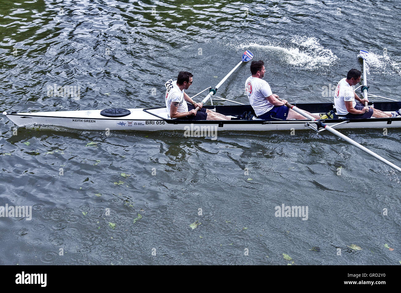 rowing, team, boat, river, row, competition, race, sport, crew, rower