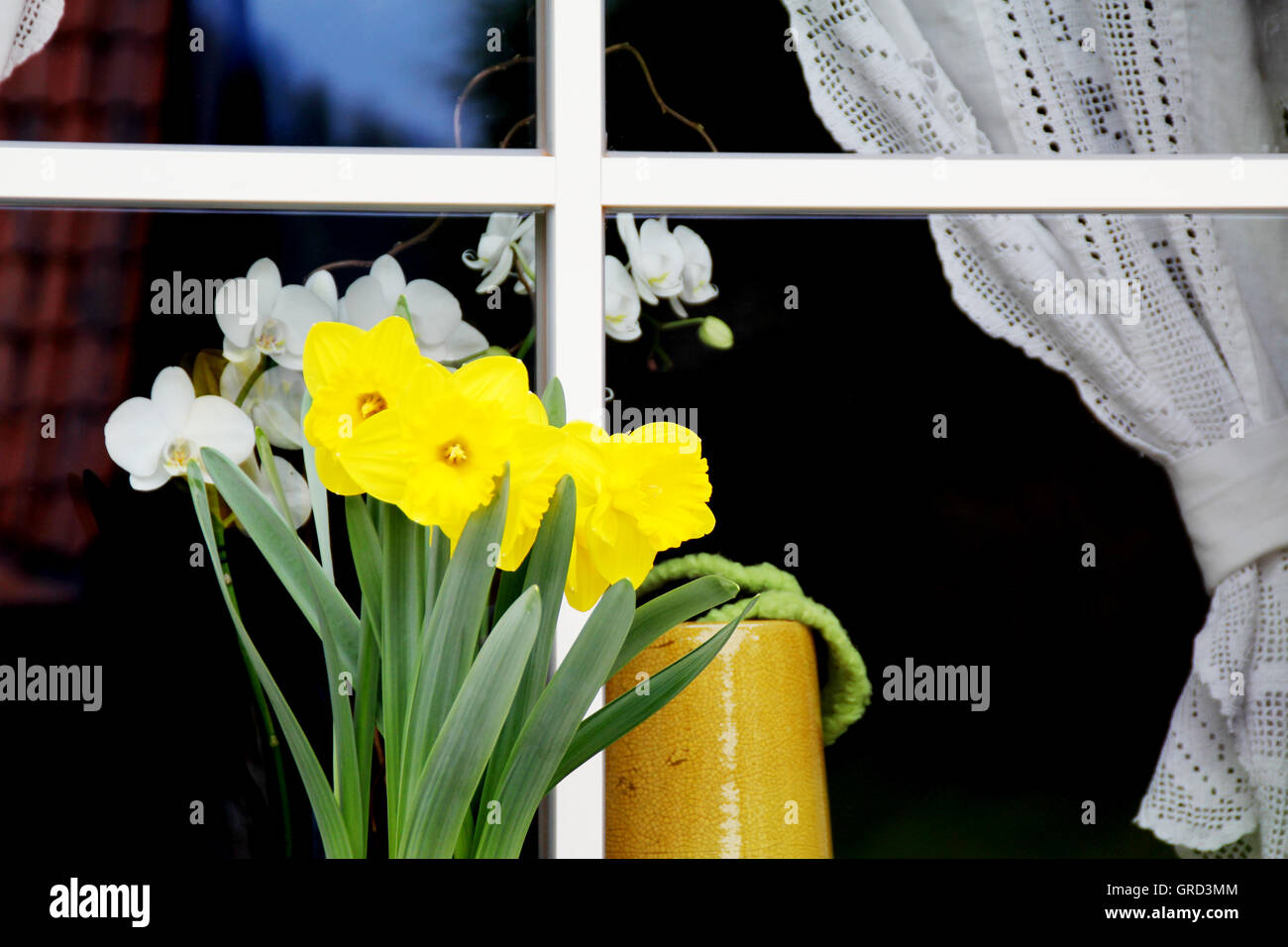 Flowers In Front Of A Window Stock Photo Alamy