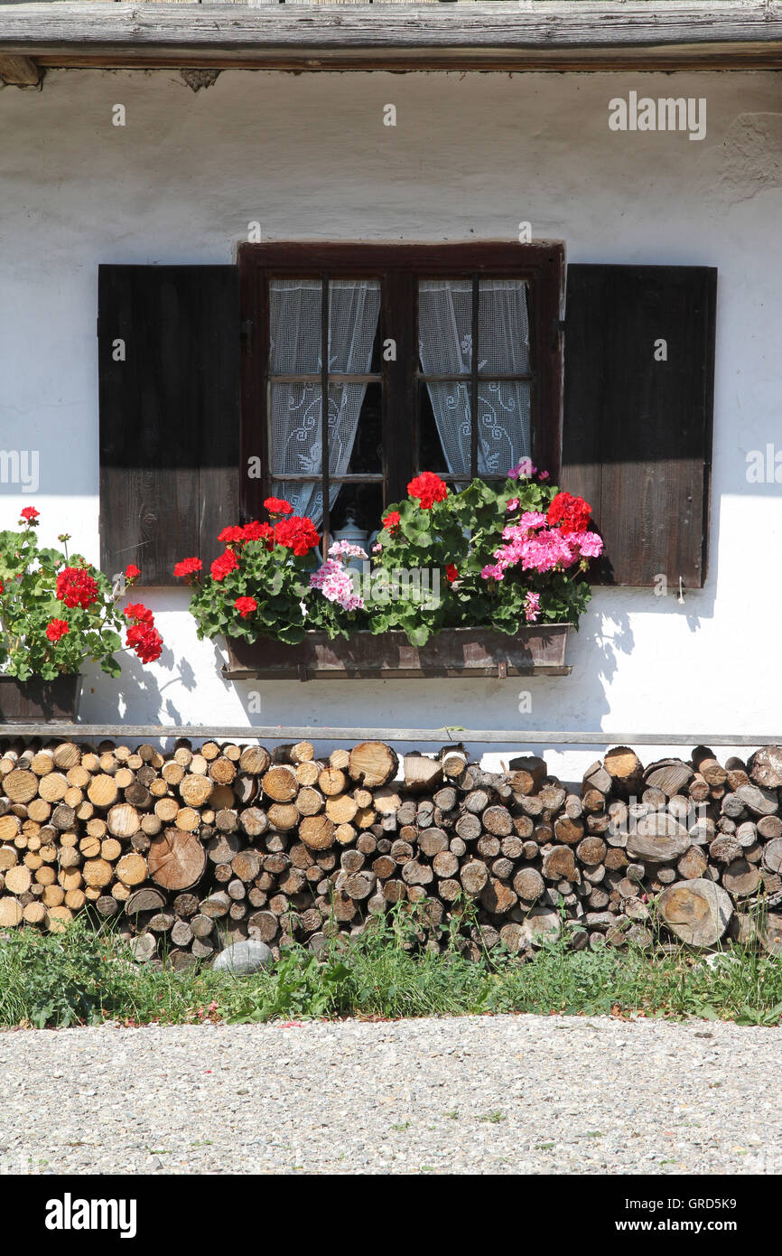 Window With Flowers Stock Photo - Alamy