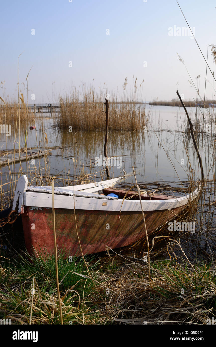 Sunken Boat At The Shor Of The Neusiedlersee In Hungary Stock Photo