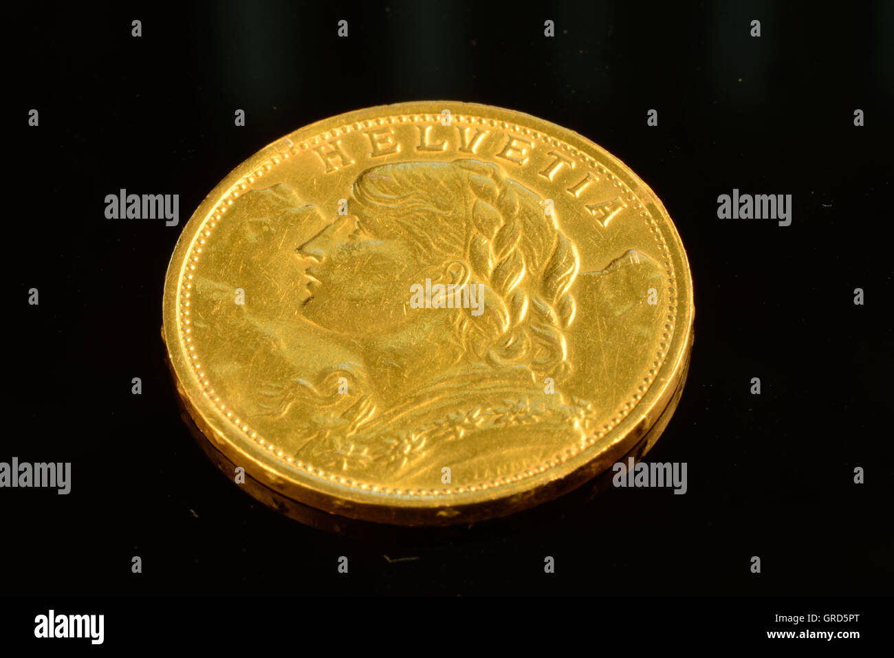 Gold coin plant hi-res stock photography and images - Alamy