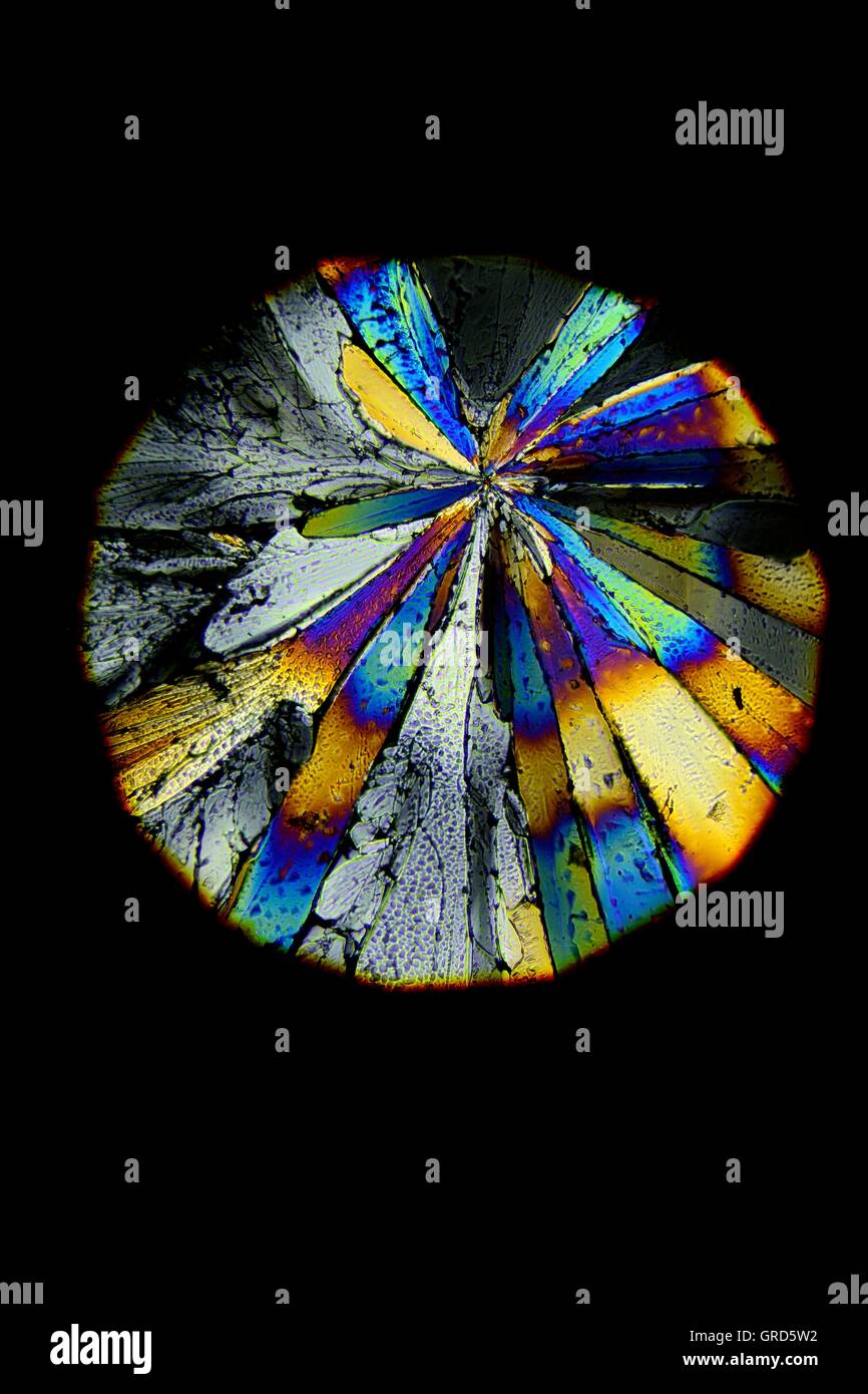 Sugar Crystal Under Microscop In Polarized Light. Magnification 100X Stock Photo
