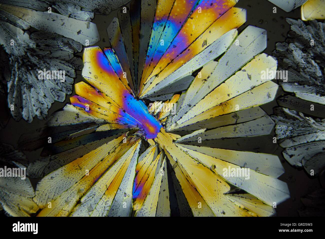 Sugar Crystal Under Microscop In Polarized Light. Magnification 100X Stock Photo