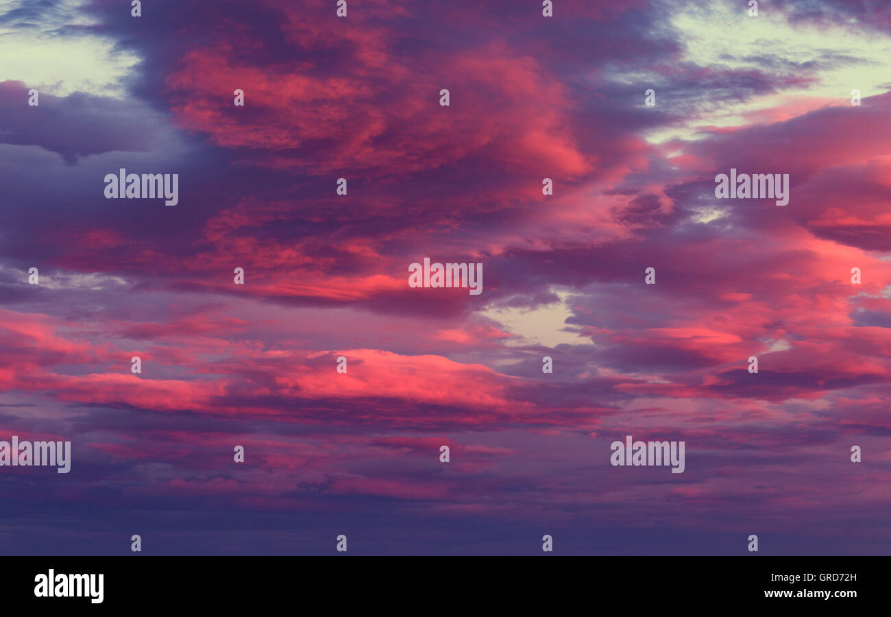 Vibrant Red and Purple Clouds on Twilight Sky Background Stock Photo