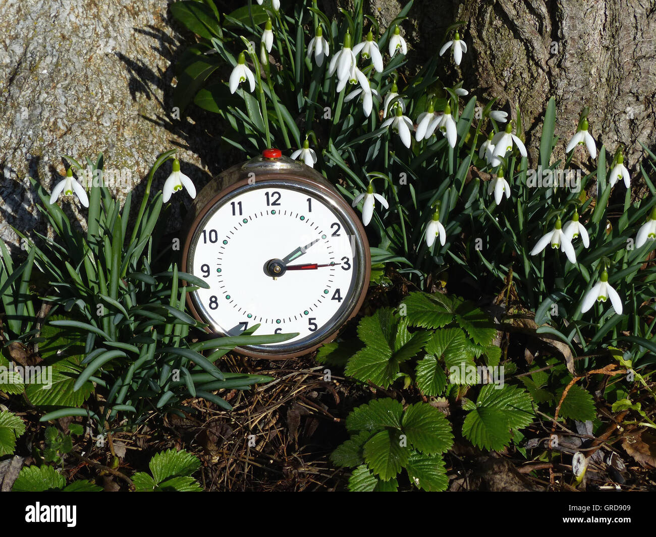 Clock Change, Daylight-Saving Time Stock Photo