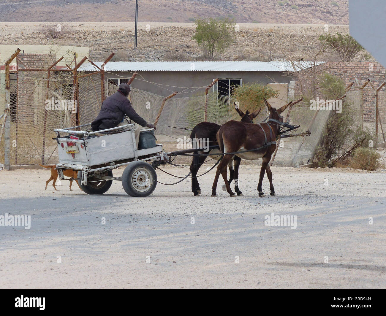 Traveling By Donkey Cart Stock Photo Alamy
