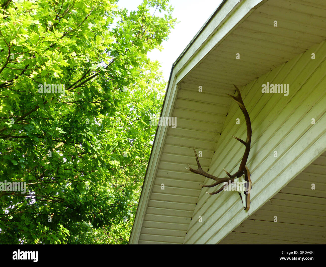 Deer Antler At Veranda Gazebo Stock Photo Alamy