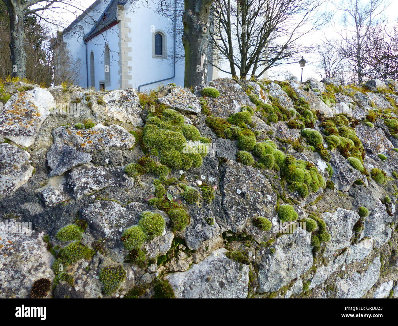 Moss Cushions On A Stone Wall, Behind The Wall There Is A Church Stock Photo