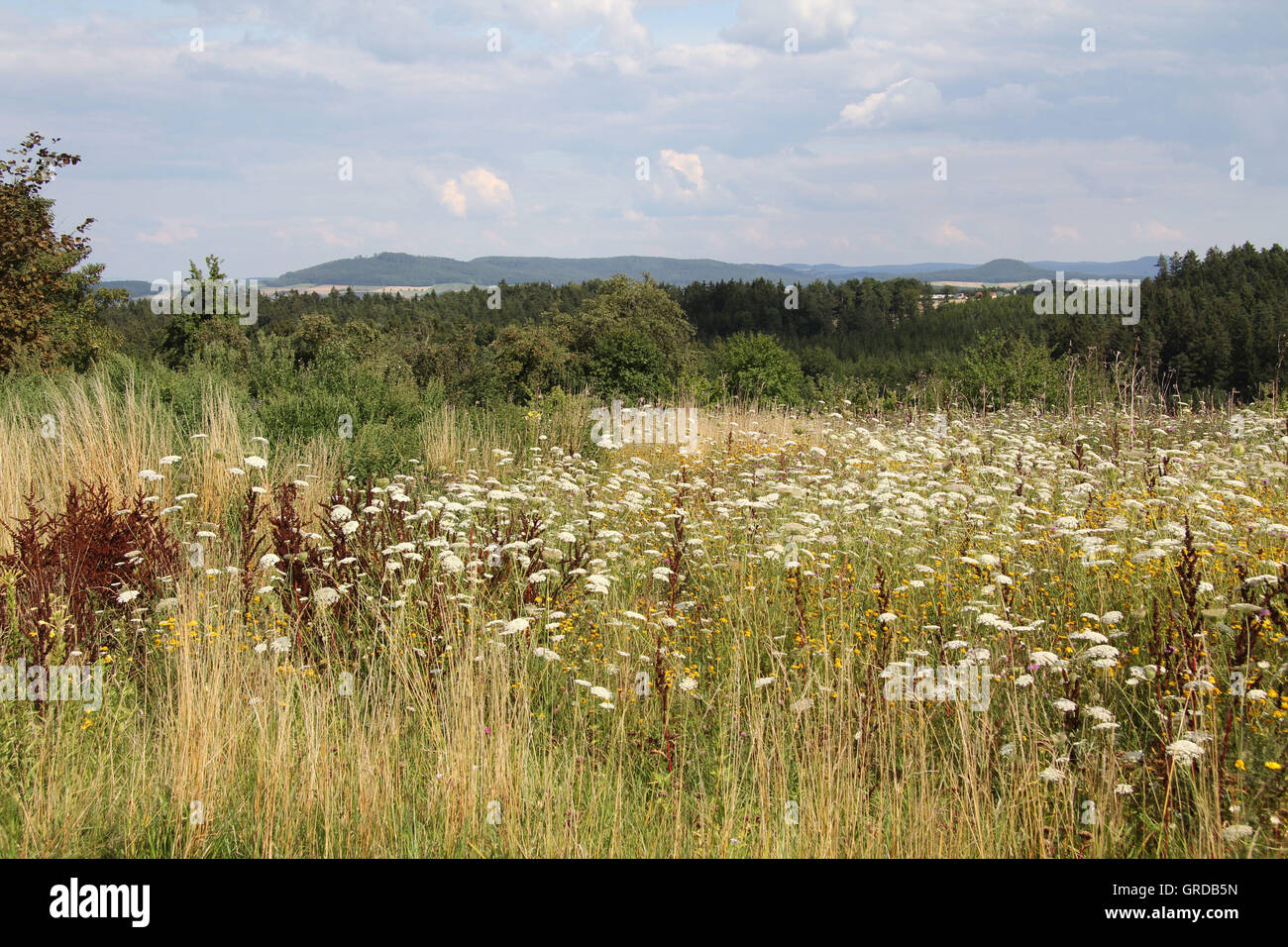 Landscape In Upper Franconia, Near Watzendorf In Coburg County Stock Photo