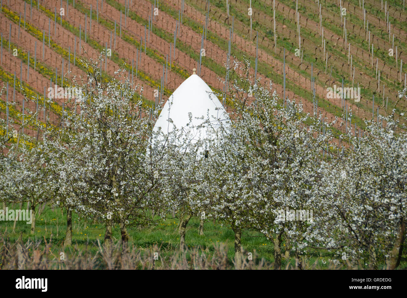 Landscape With Trullo, Near Uffhofen, In Wine Growing District Rhinehesse, Rhineland-Palatinate, Germany, Europe Stock Photo