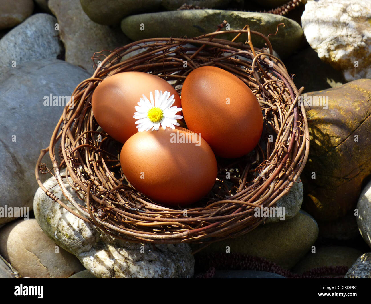 Brown Eggs In A Nest, Easter Stock Photo