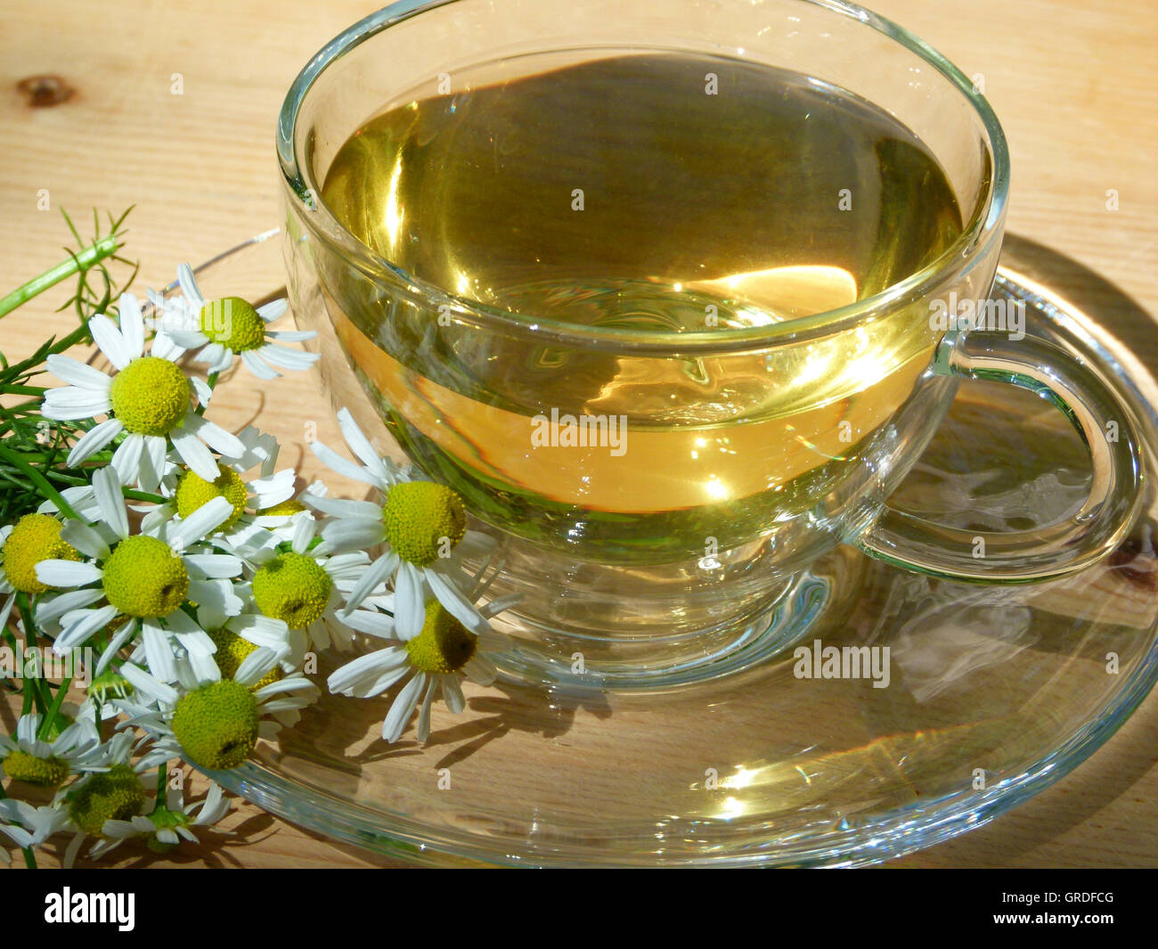 Chamomile Tea, Matricaria Chamomilla Stock Photo - Alamy
