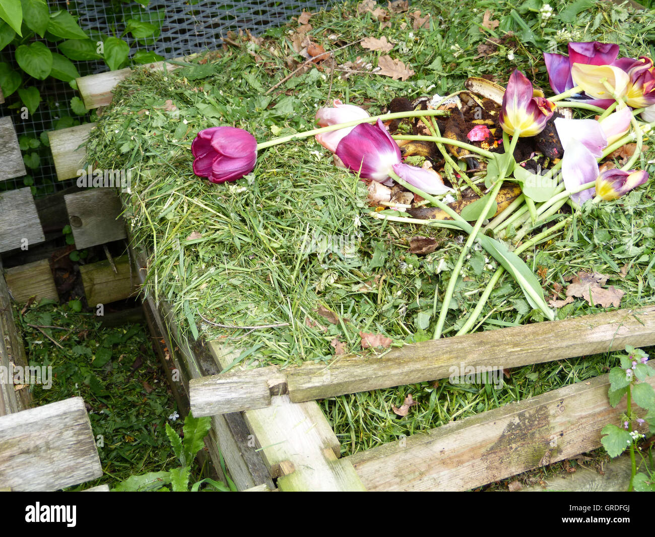 Compost box hi-res stock photography and images - Alamy