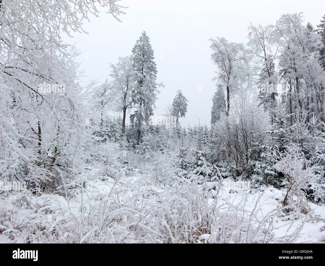 Winter In Hunsrueck, German Low Mountain Range Stock Photo