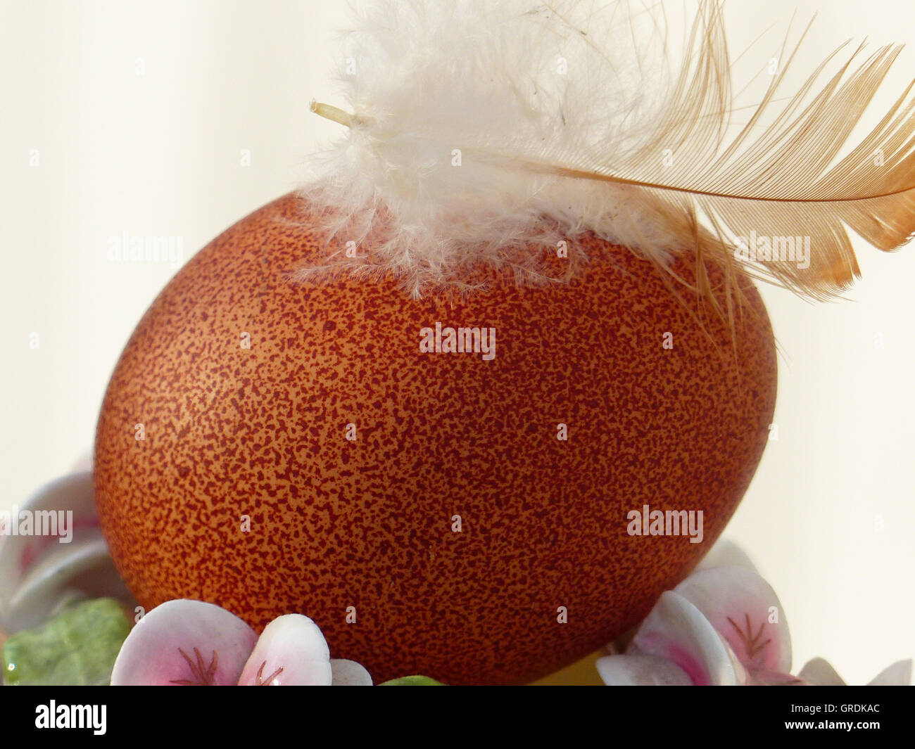 Dark Brown Easter Egg With A Feather Stock Photo