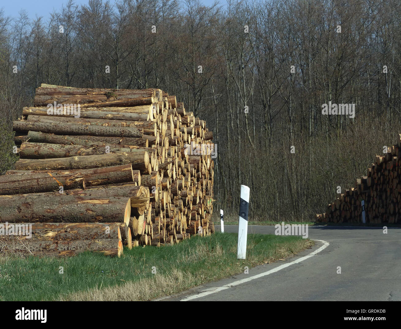 Felled Logs Piled Up Along The Road Stock Photo